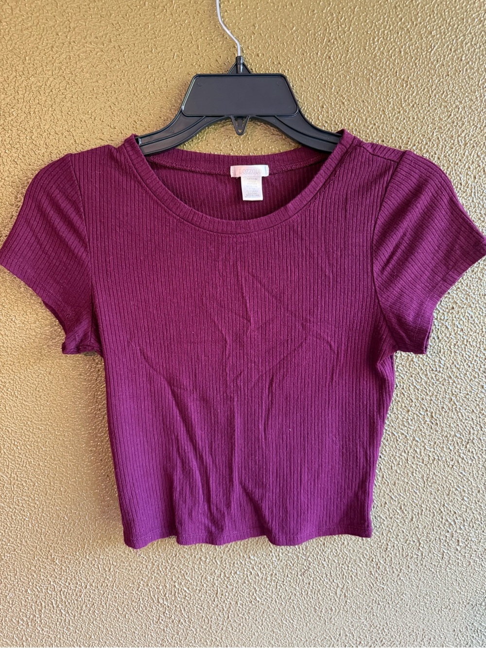 Bozzolo Burgundy Ribbed Crop Top